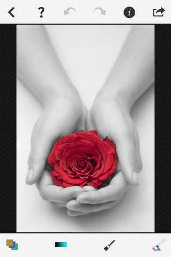 Image 0 for Color Blast! - Photo Spla…