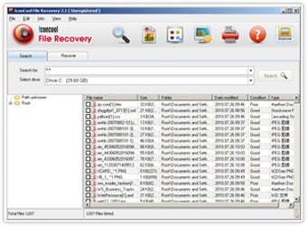 Image 0 for IconCool File Recovery