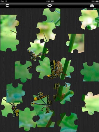 Image 0 for Jigzo HD - the Photo Jigs…