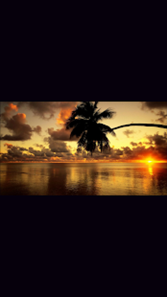 Image 2 for Status Downloader and Sta…
