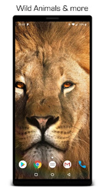 Imagen 2 para Live Wallpapers 3D HD Coo…