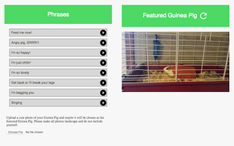 Image 1 for Guinea Pig Communicator