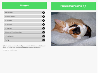 Image 3 for Guinea Pig Communicator