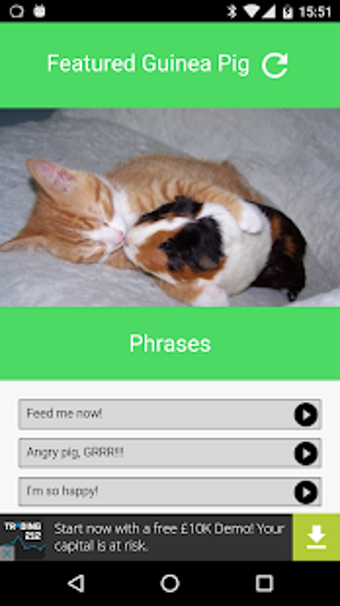 Image 1 for Guinea Pig Communicator
