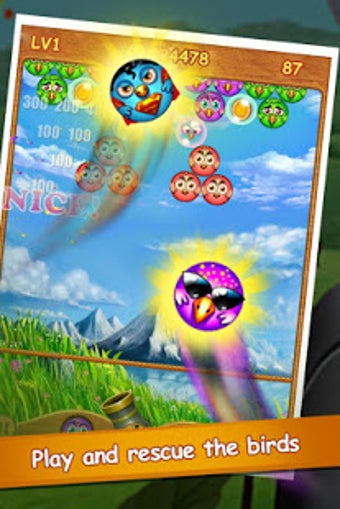 Image 3 for Bubble Bird Extreme