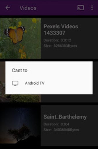 Imagen 0 para Cast TV for Chrome Cast/R…