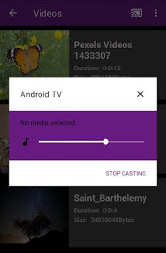 Imagen 1 para Cast TV for Chrome Cast/R…