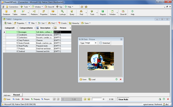 Image 0 for PowerDBTools