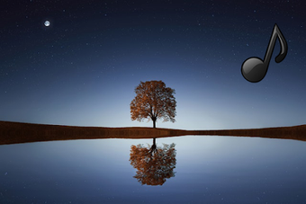 Image 2 for Musica relajante con vide…