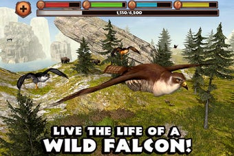 Image 0 for Falcon Simulator