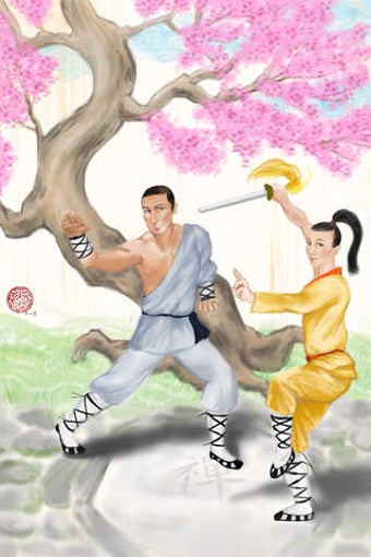 Image 0 for Choice of Kung Fu