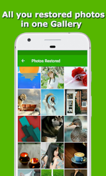 Imagen 1 para Restore Deleted Photos - …