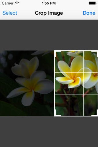 Image 0 for Crop Image