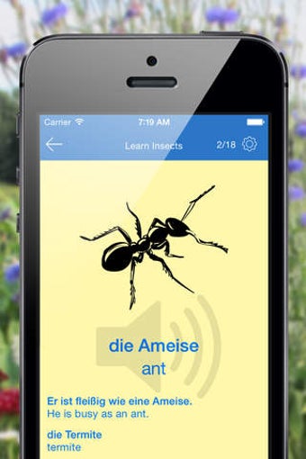 Image 0 for Look, Listen, Learn Germa…