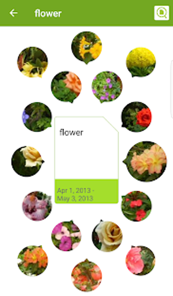 Imagen 2 para Memory Card Preview