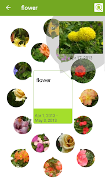 Imagen 3 para Memory Card Preview