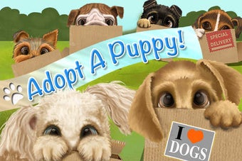 Imagen 0 para Dog In The Box - Adopt Cu…