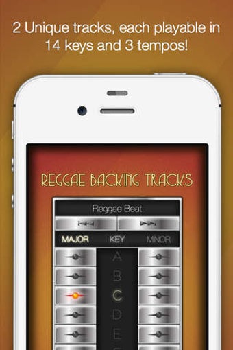 Image 0 for Backing Tracks: Reggae