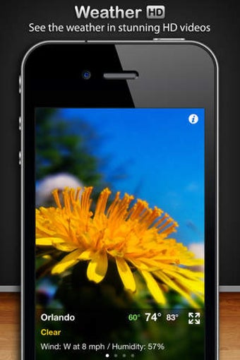 Imagen 0 para Weather Motion