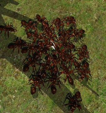 Image 1 for Ant Simulator