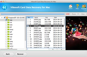 Imagen 2 para Vibosoft Card Data Recove…