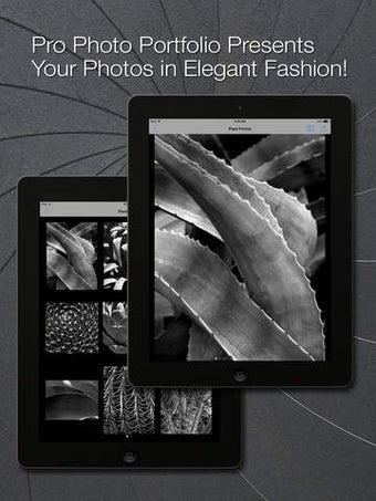 Imagen 0 para Pro Photo Portfolio