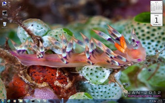 Image 0 for Tropical FishCalendars.co…