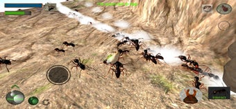 Image 3 for Ant Simulation 3D