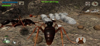 Image 0 for Ant Simulation 3D