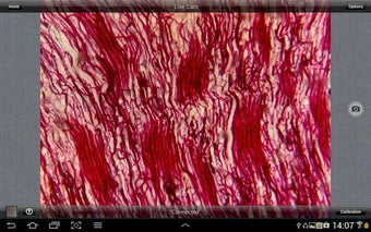 Image 2 for MotiConnect