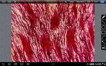 Image 1 for MotiConnect