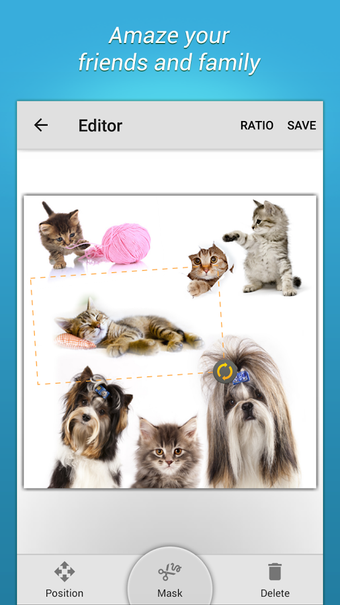 Image 0 for Blend Collage Free
