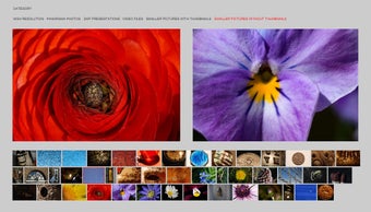 Image 0 for Web Style Gallery Pro