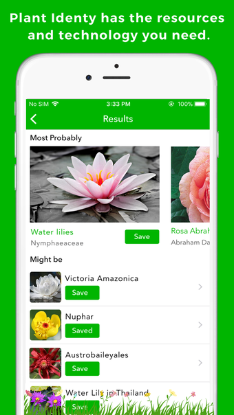 Image 1 for Plant Identification & In…