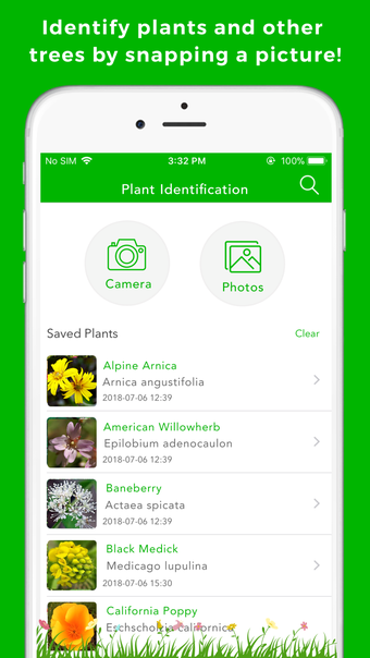 Image 3 for Plant Identification & In…