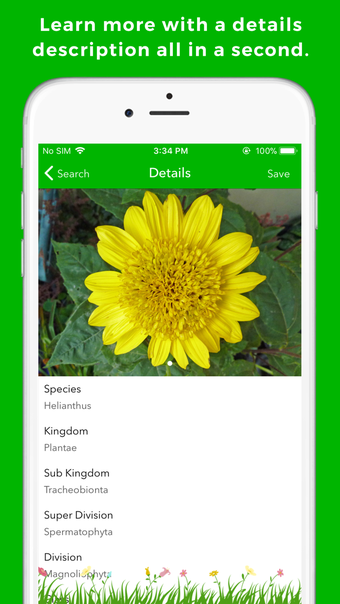 Image 2 for Plant Identification & In…