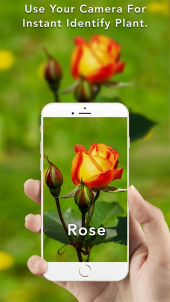 Image 0 for Plant Identification & In…