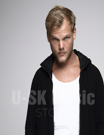 Imagen 0 para Avicii - Best Offline Mus…