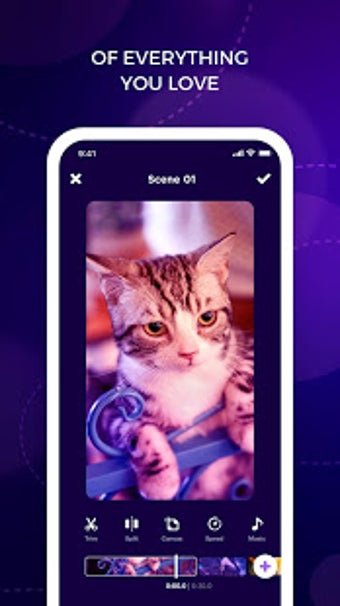 Image 0 for Storyboard - Video Editor…