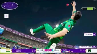 Imagen 0 para Cricket Smash Championshi…