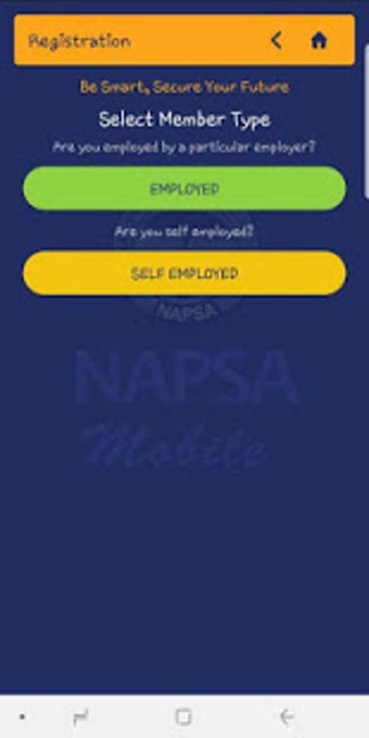 Image 0 for NAPSA Mobile
