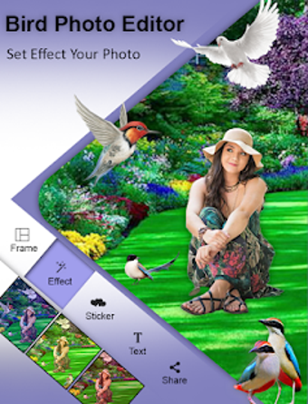 Image 0 for Bird Photo Editor