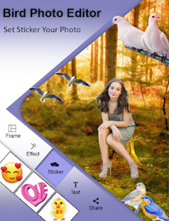 Image 3 for Bird Photo Editor
