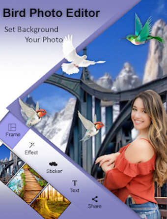 Image 2 for Bird Photo Editor