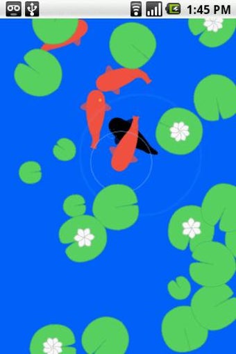 Imagen 1 para Groovy Fish