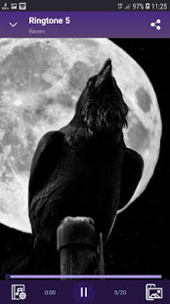 Imagen 0 para Raven - RINGTONES and WAL…
