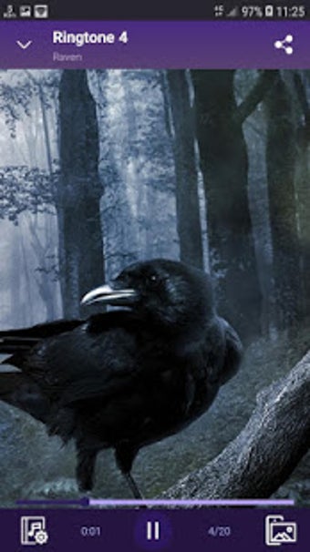 Imagen 3 para Raven - RINGTONES and WAL…