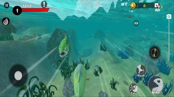 Image 0 for Fish Grow and Evolution
