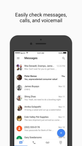 Imagen 2 para Google Voice
