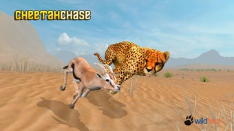 Image 2 for Cheetah Chase Simulator